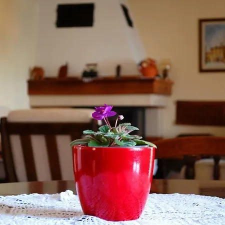 Sanja Apartment *