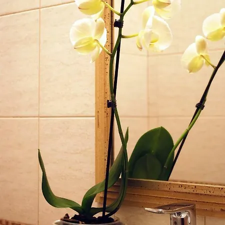Apartment Sanja *