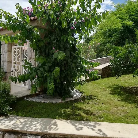 Apartment Sanja Ika